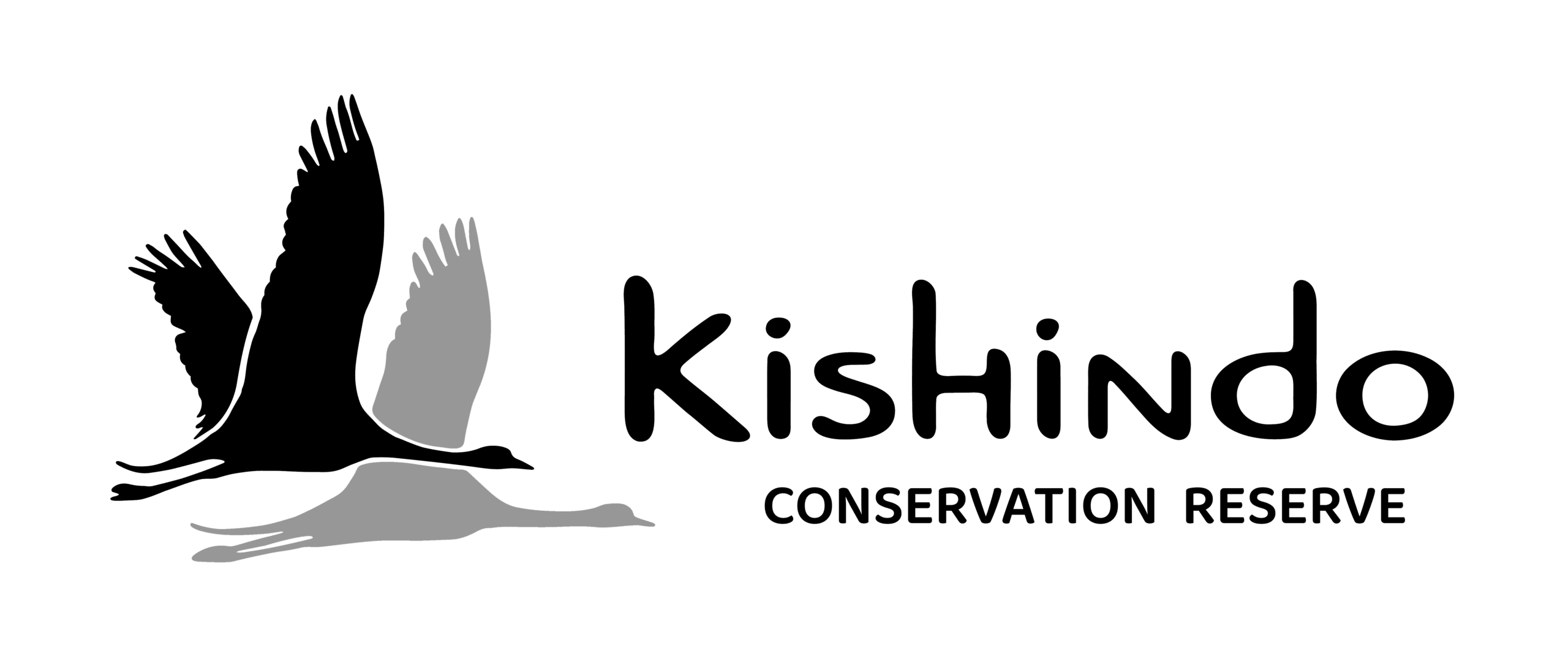 Kishindo Conservation Reserve logo featuring a flying bird silhouette with brand name text on transparent background