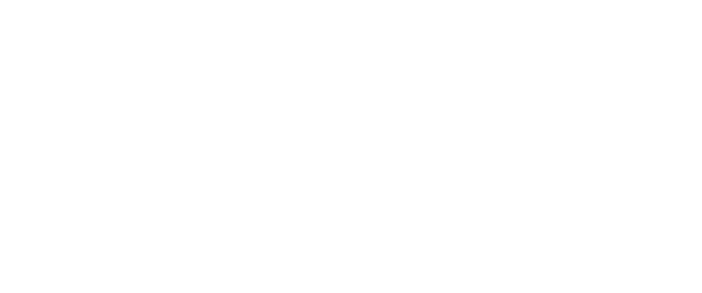 Kishindo Conservation Reserve logo featuring a flying bird silhouette with brand name text on transparent background