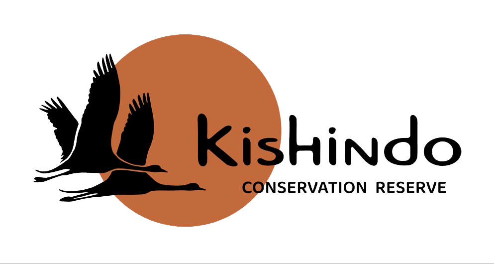 Kishindo Conservation Reserve logo featuring a flying bird silhouette with brand name text on transparent background