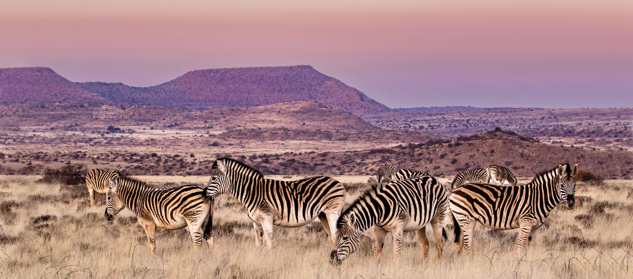 Let's work together to create a brighter future for wildlife and humanity