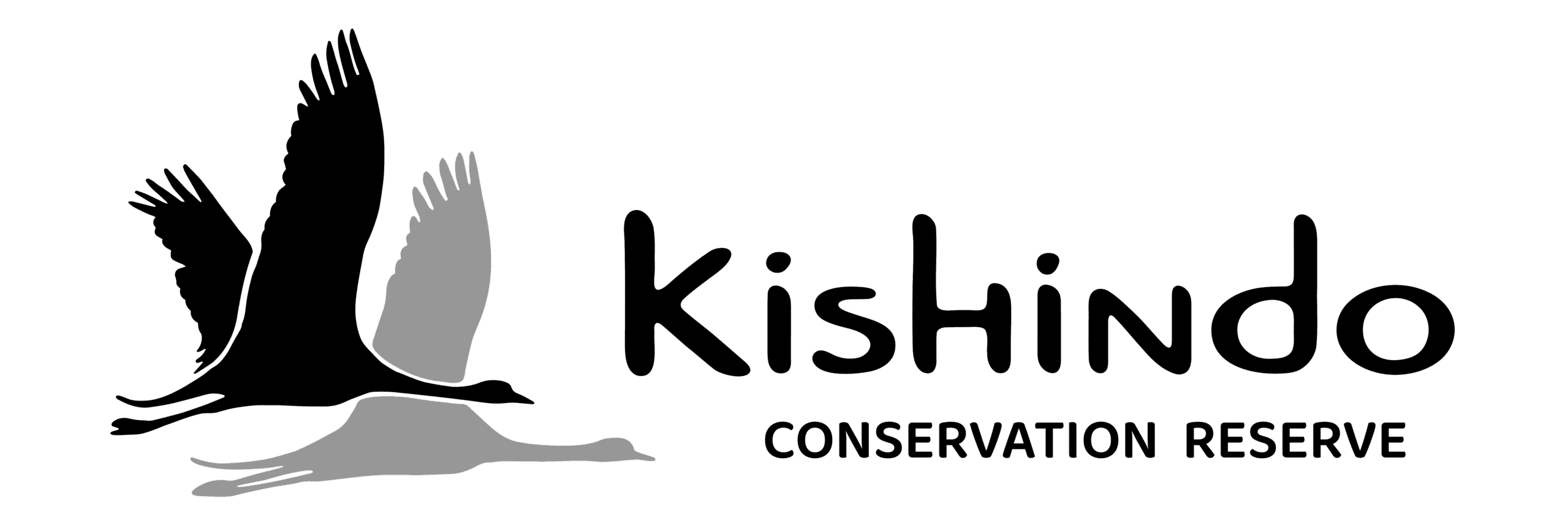 Kishindo Conservation Reserve logo featuring a flying bird silhouette with brand name text on transparent background