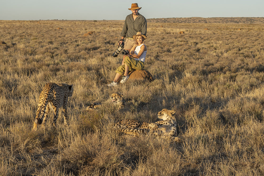 Guests on Cheetah walk