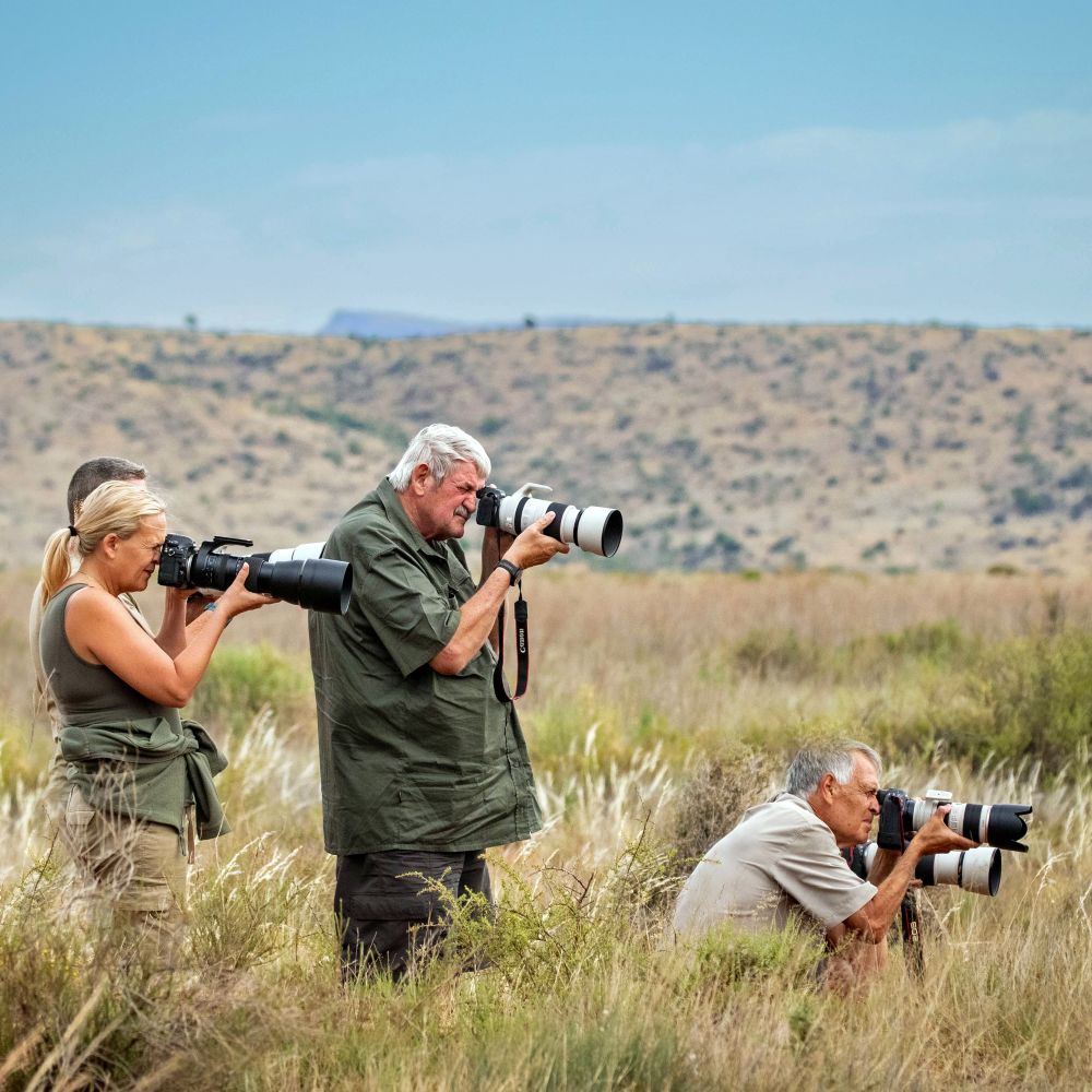 Hosted Photographic Safaris