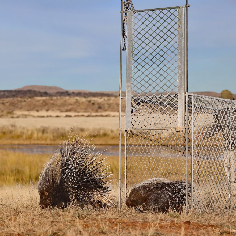 Life on the Reserve
