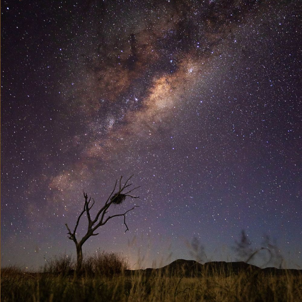 Camp-out & Stargazing
